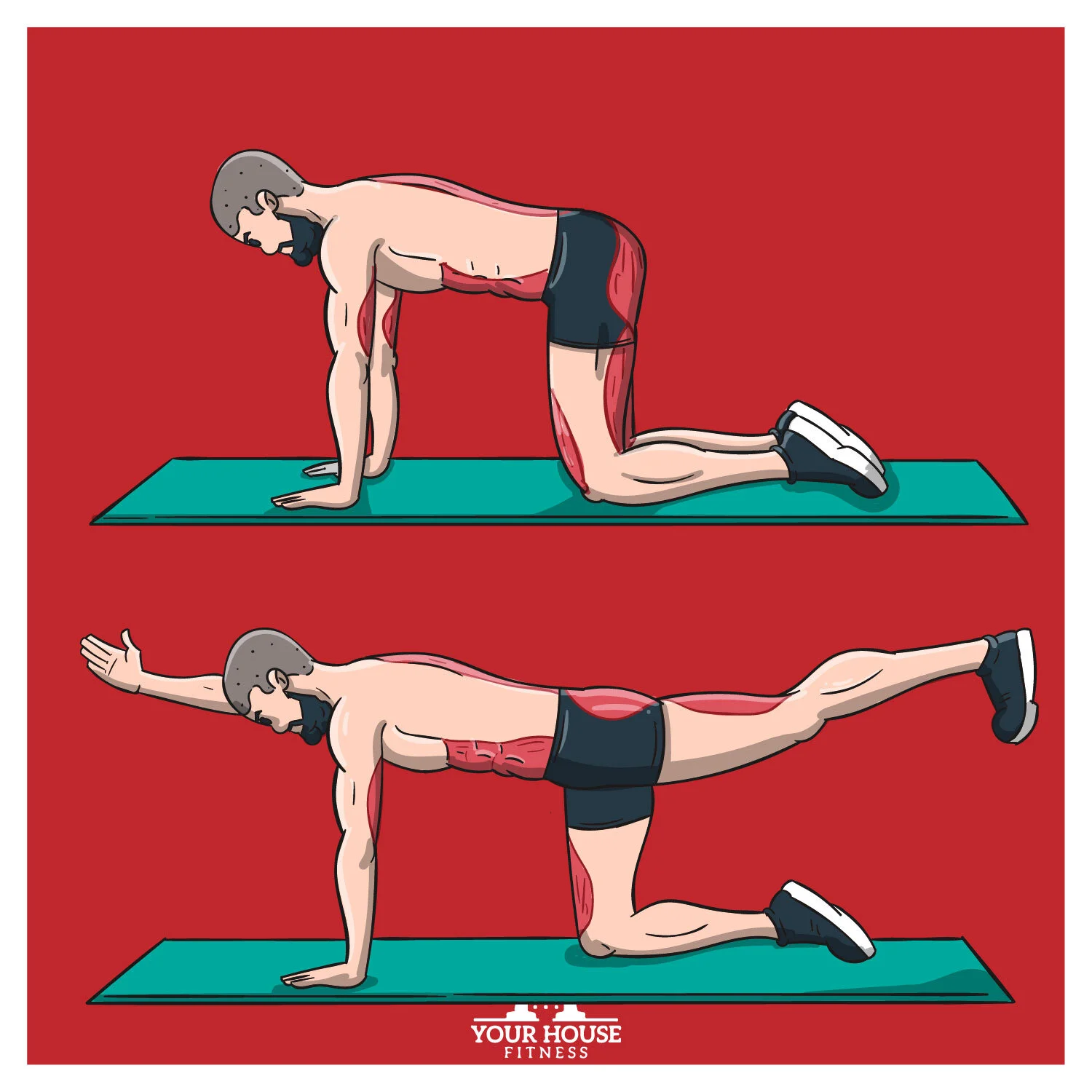 Man performing a bird dog exercise on the floor, extending one arm and the opposite leg to improve core strength, balance, and stability.
