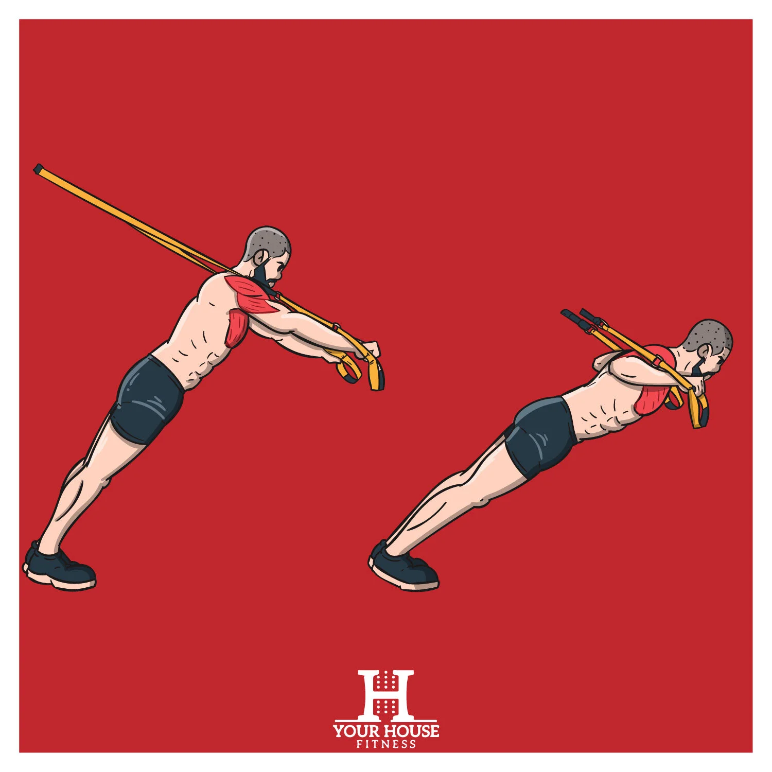 Exercise Tutorial TRX Push Up