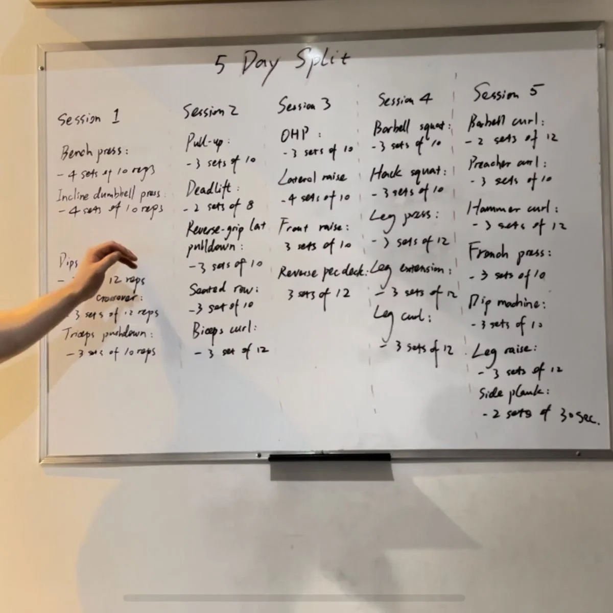 Beginner's Guide: 5 Day Workout Split Routine