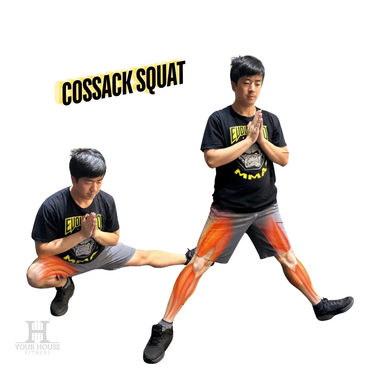 Cossack Squat