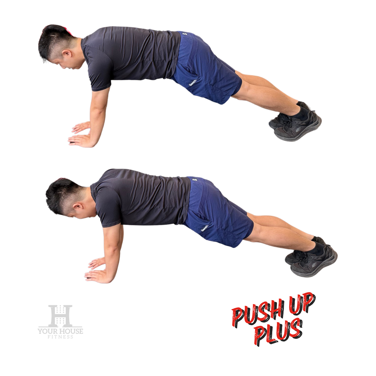 Push Up Muscles Activated