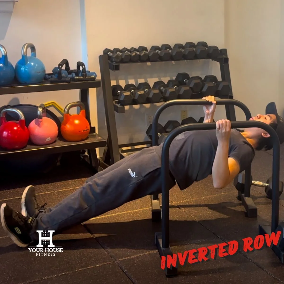 Inverted Row Machine: Rowing Inversé Exercices – PUQRD