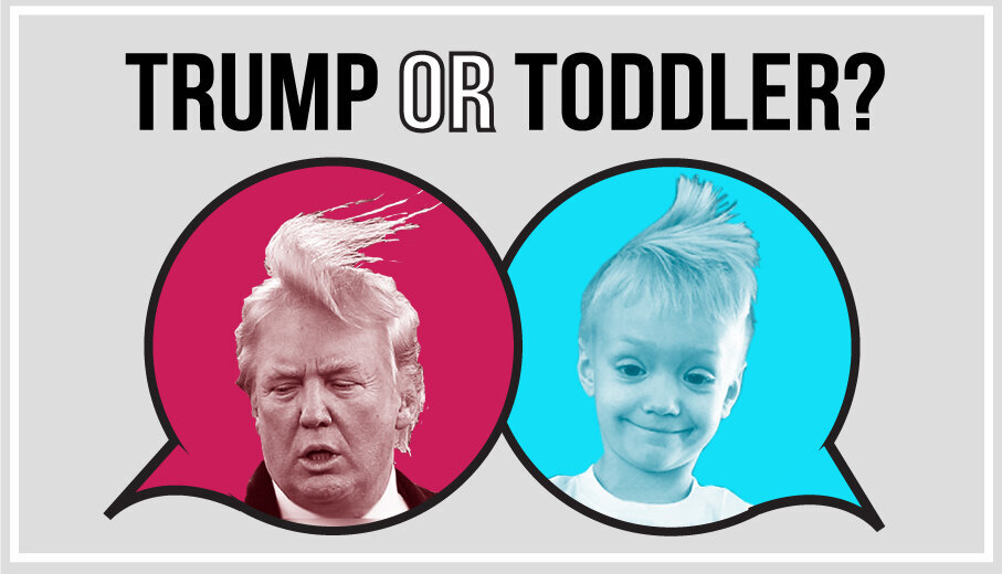 Who Said It - Trump or Toddler?