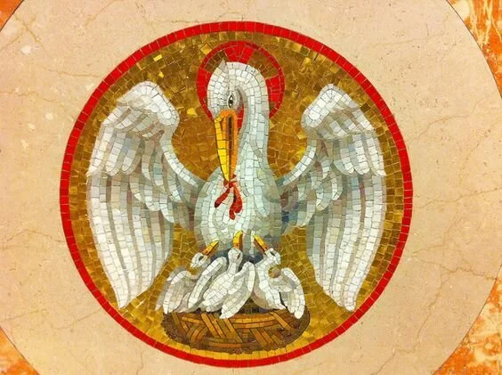 Becoming a Mother Hen