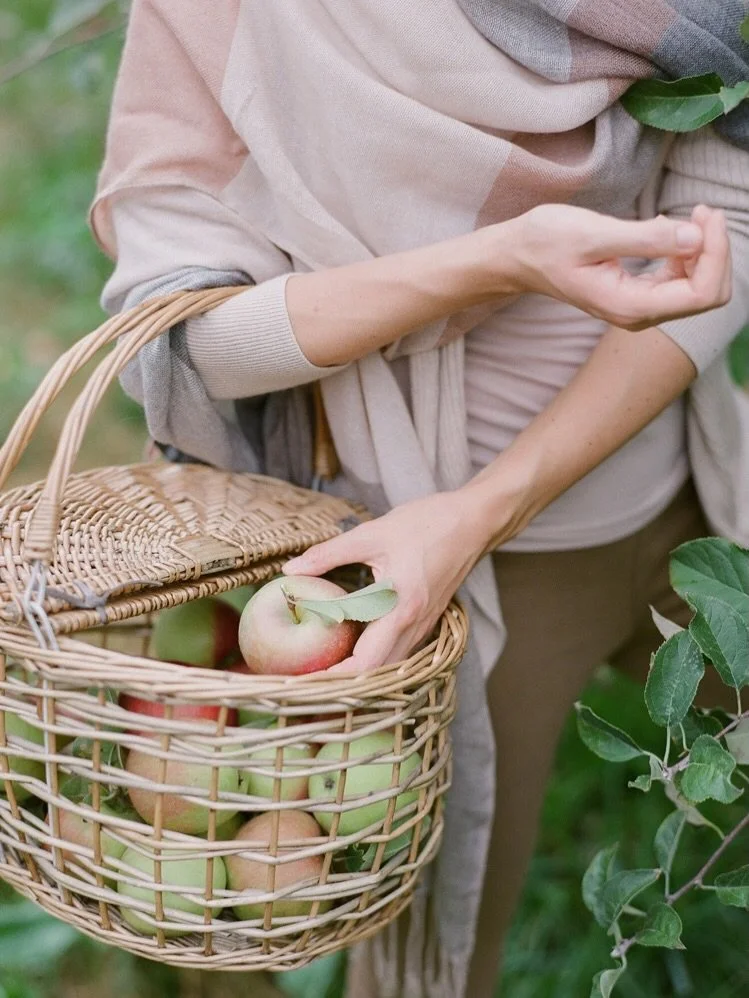 September brings one of our favorite moments in the kitchen, when the last abundance of summer begins to meet the first ingredients of autumn 🫜

This week on our menu, we&rsquo;re working with watermelon, tomatoes, cucumbers, golden peppers, apples,