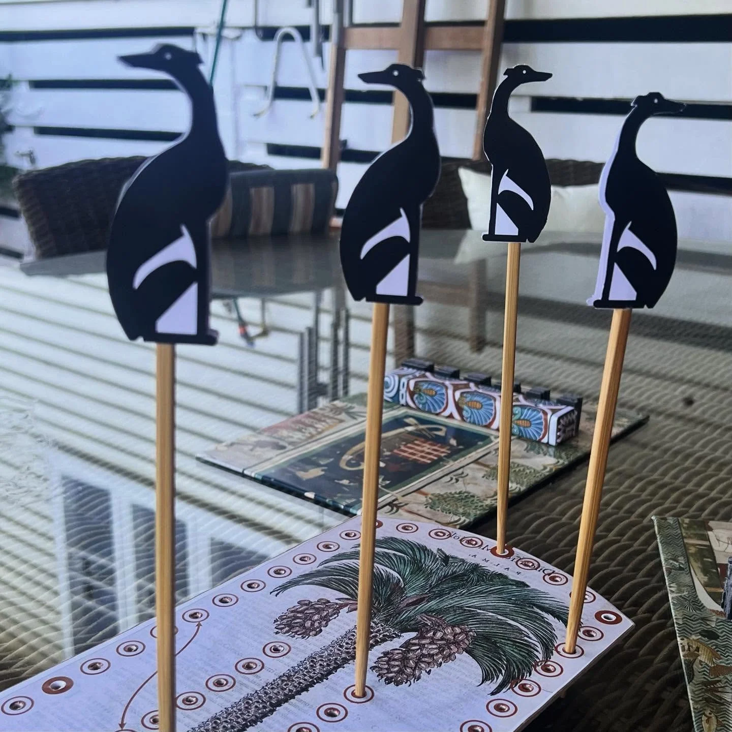 Total victory of the hounds over the jackals 😁