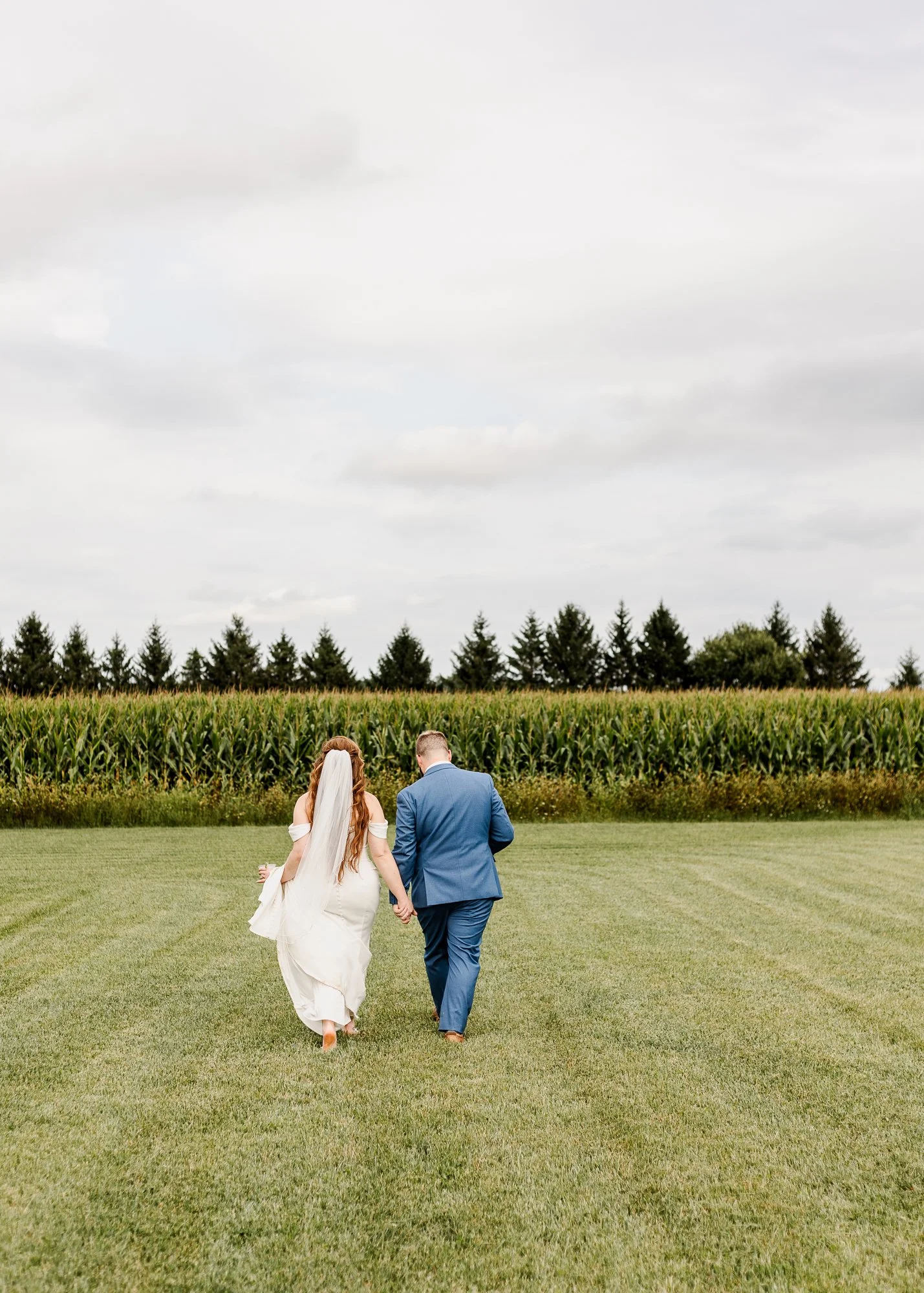 wide shot of bride and groom walking away from camera towards a corn field at bloom and bower in rising sun ohio