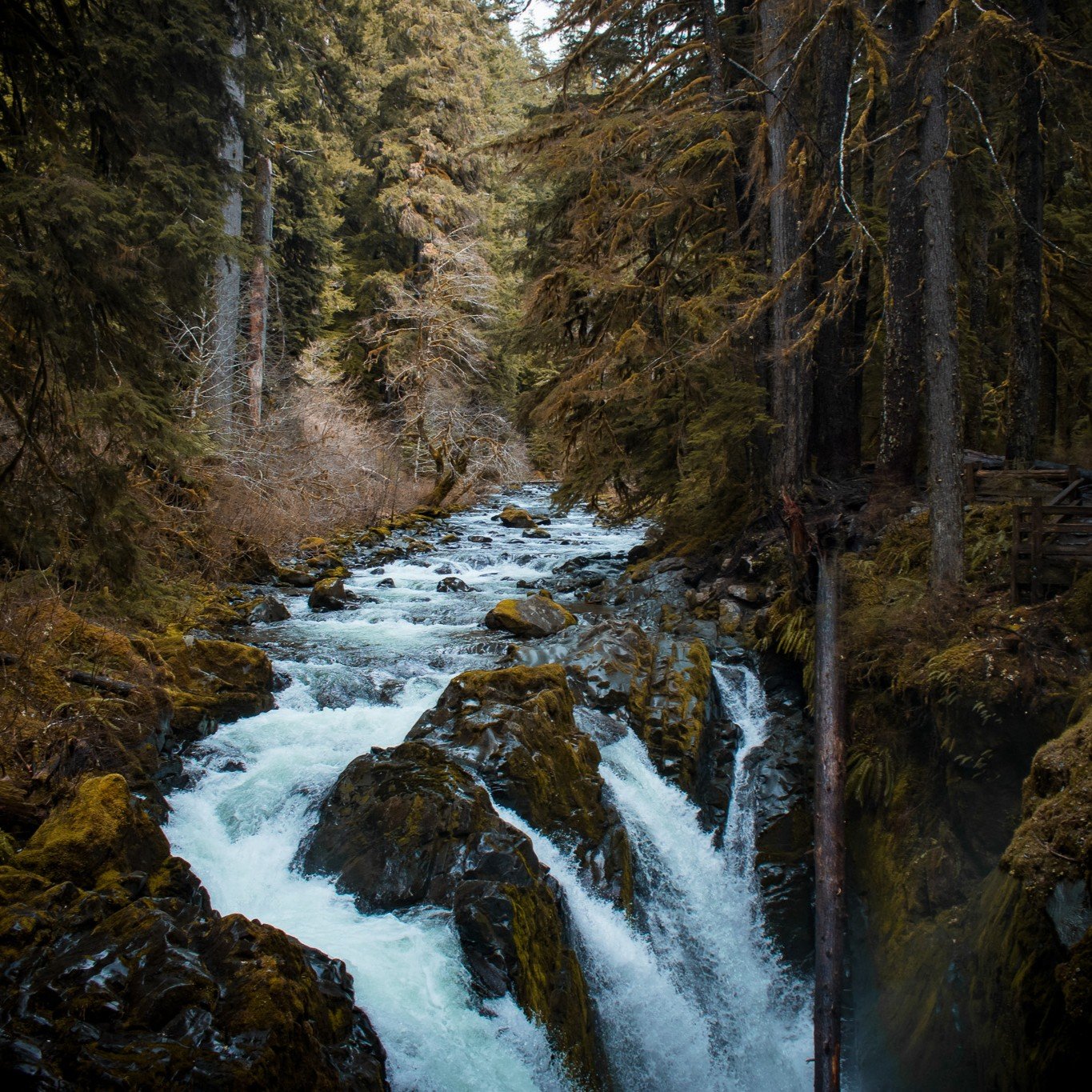 DSC_0118.jpg