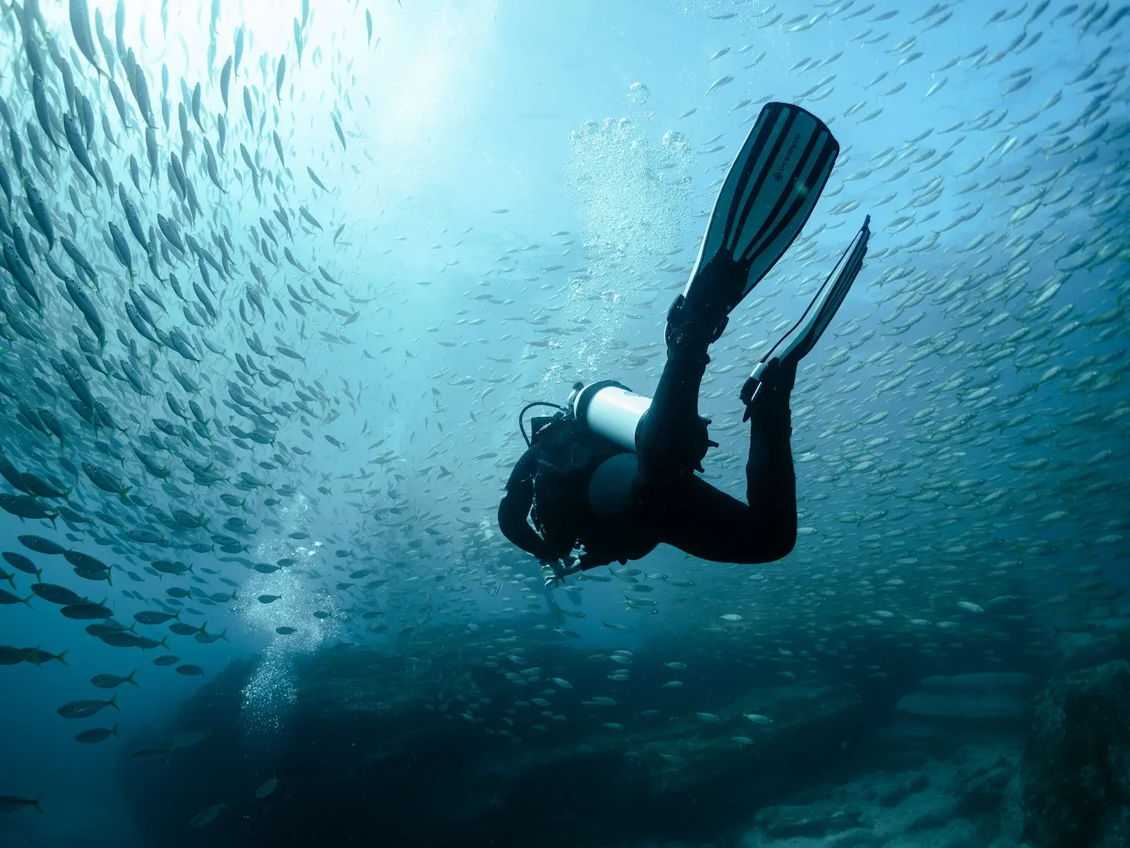 Scuba Diver and Yakka.webp