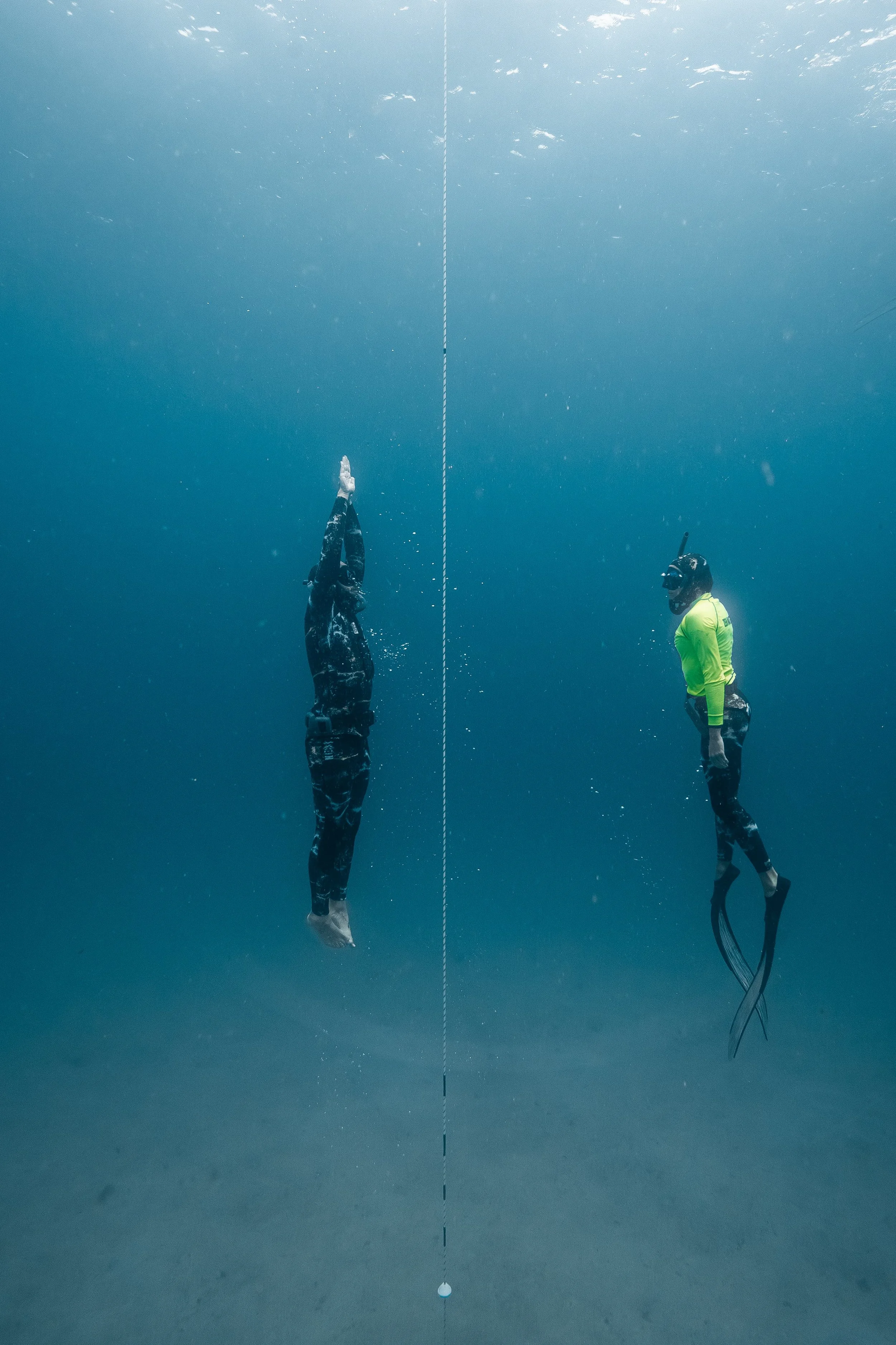 Freediving Jervis Bay