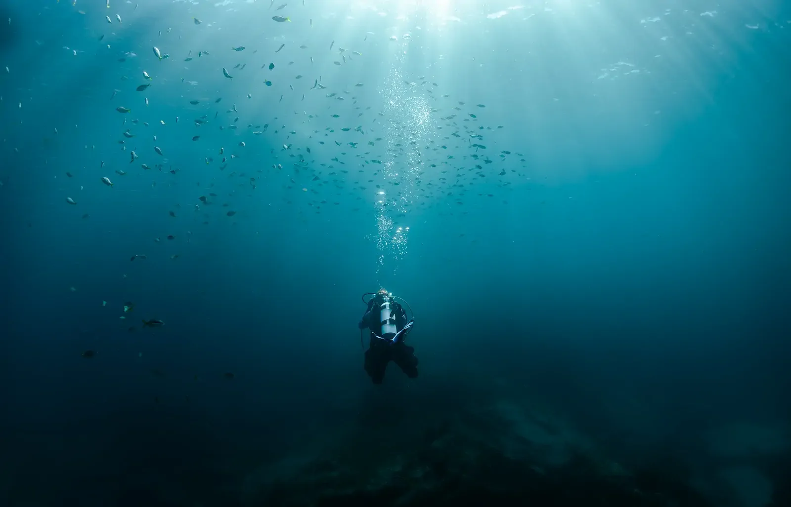 Scuba Diver.webp