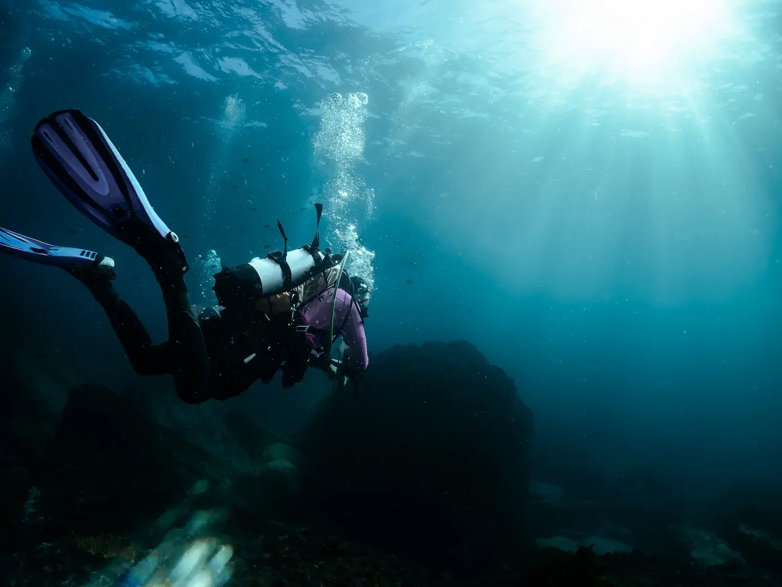 Divemaster 2.webp