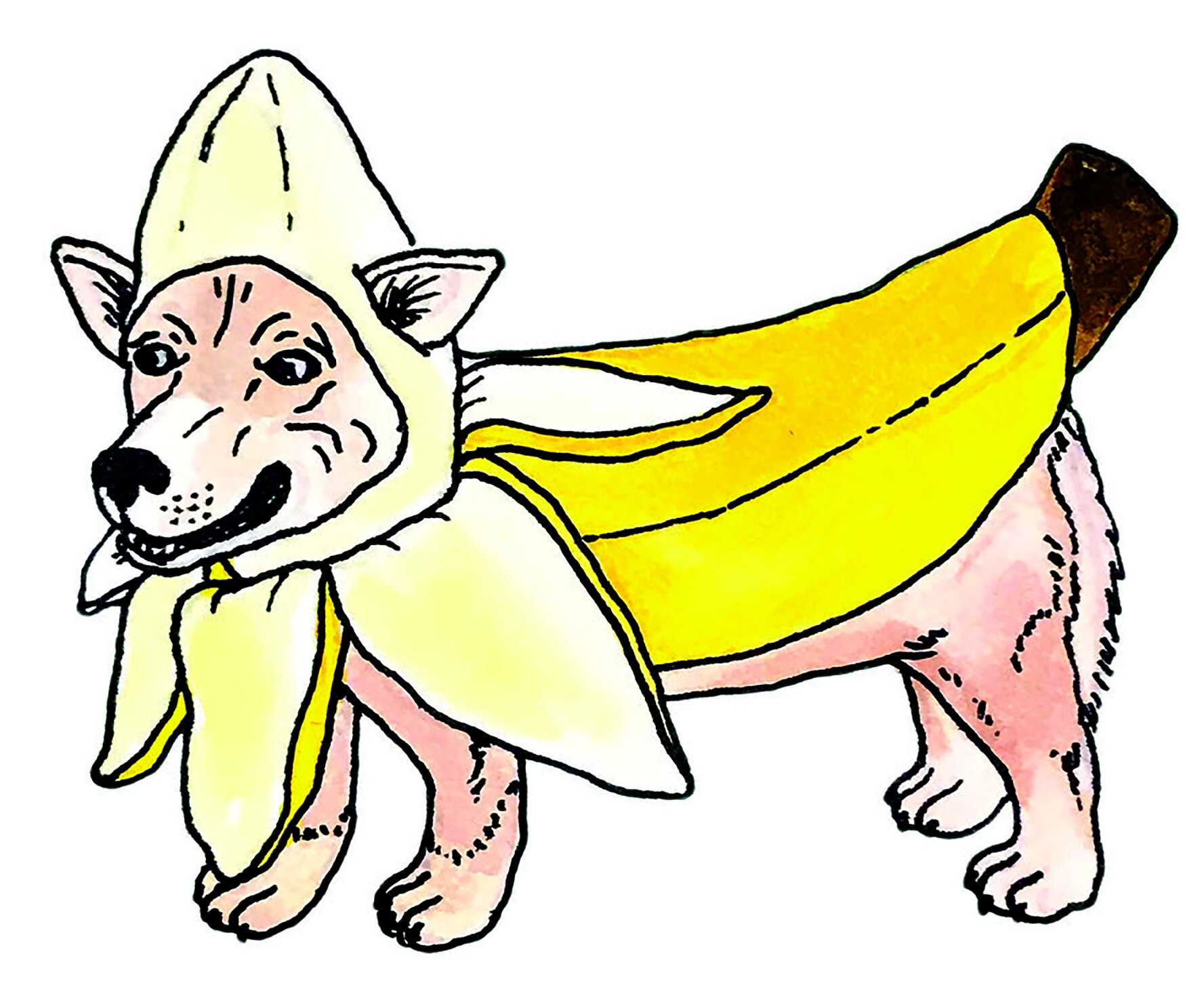 Banana Dog.jpg