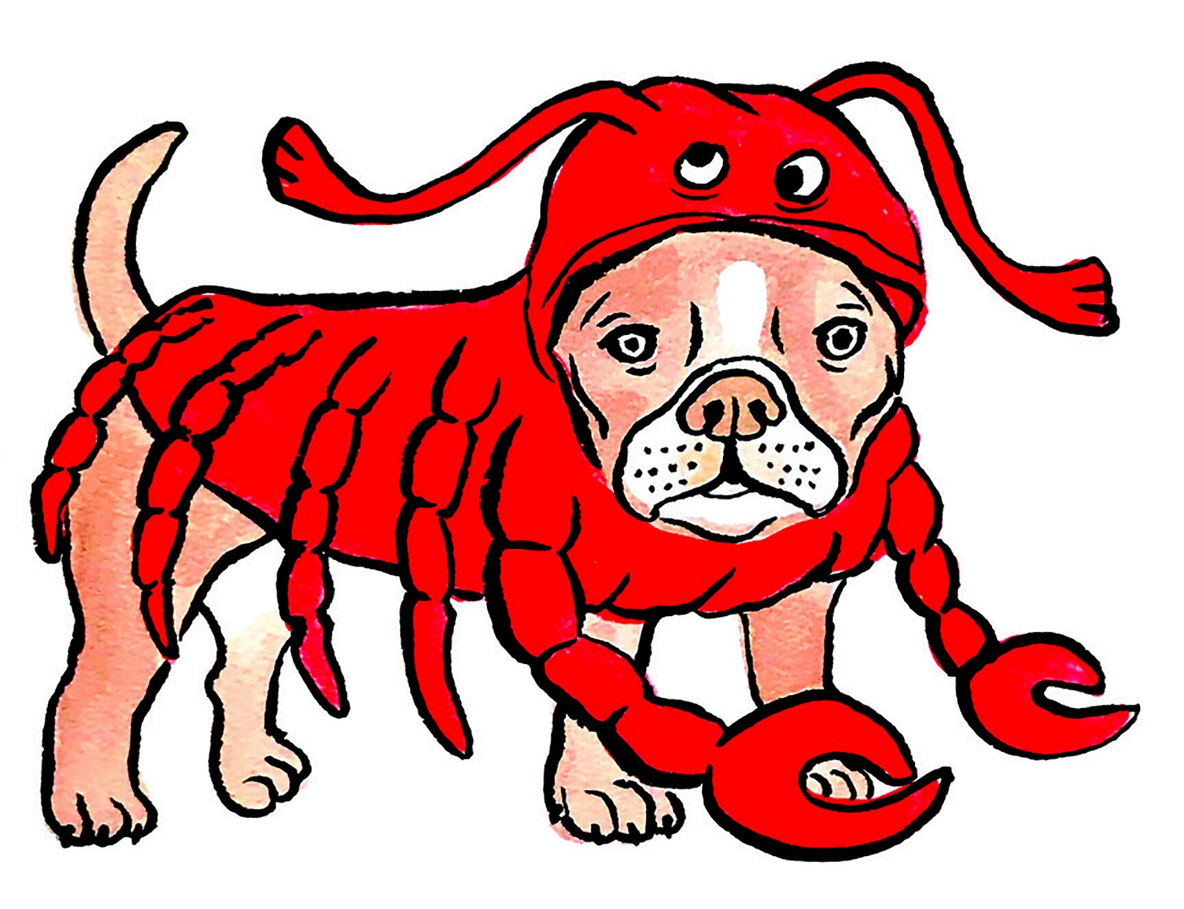 Crawfish dog.jpg