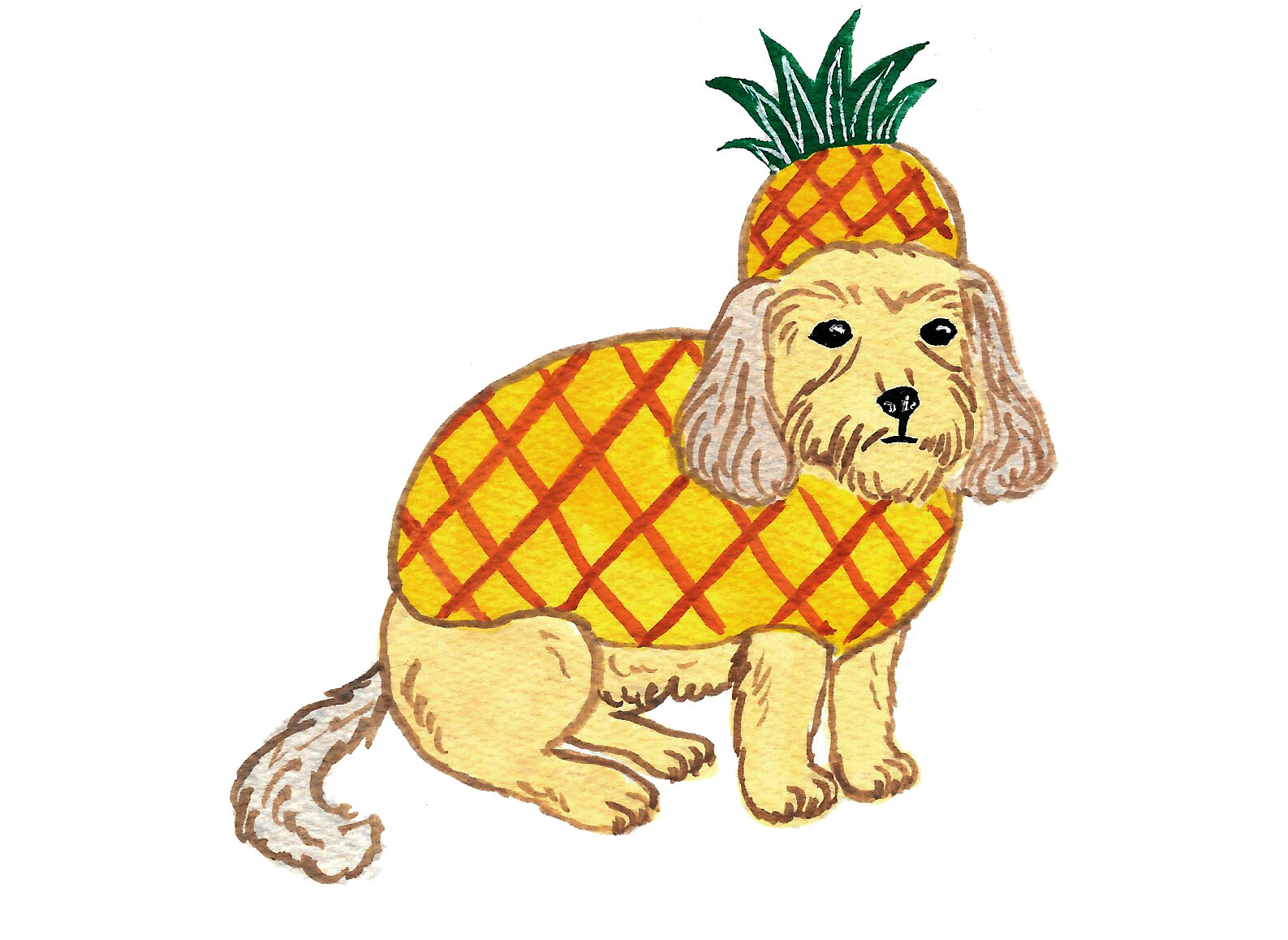 pineapple dog.jpg