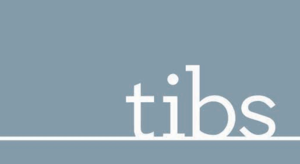 TIBS LLC