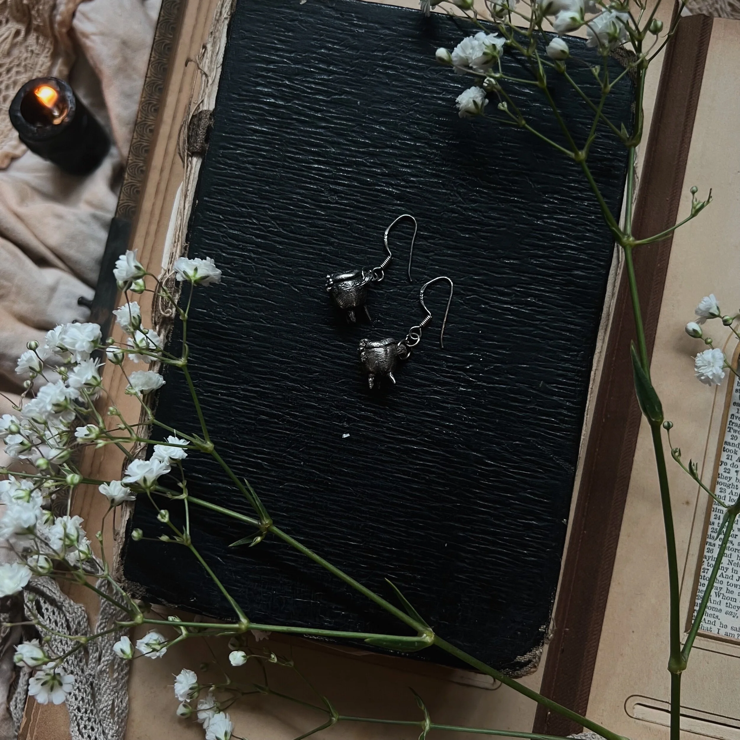 Store 1 — 𝔗𝔥𝔢 ℌ𝔞𝔲𝔫𝔱𝔰 ℭ𝔲𝔯𝔦𝔬𝔰𝔦𝔱𝔶 𝓢𝔥𝔬𝔭𝔭𝔢