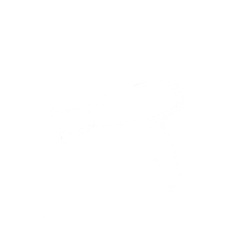 job opportunities.png