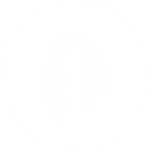 meet the team copy 2.png