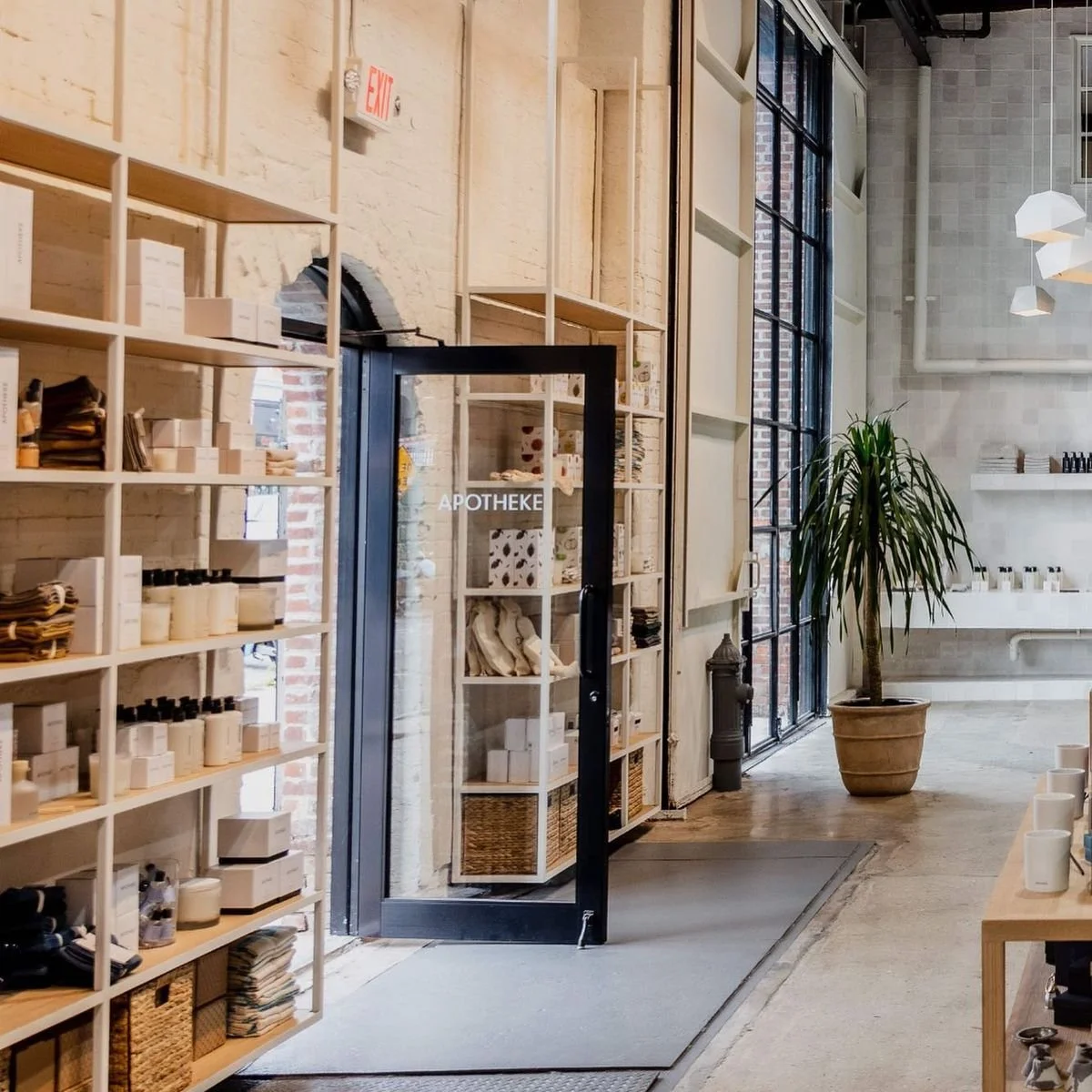 Interior of a modern retail store with wooden shelves displaying various products, large windows with black metal frames, a large potted plant, and aesthetic lighting