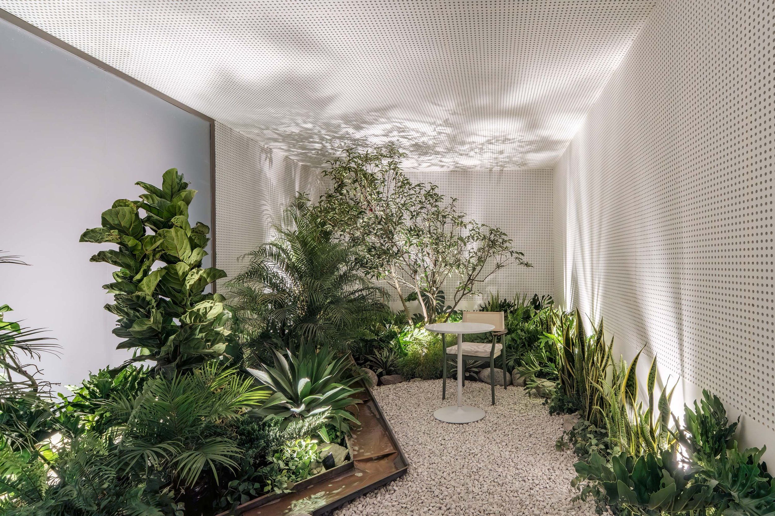 quebrada encapsulada I casas project