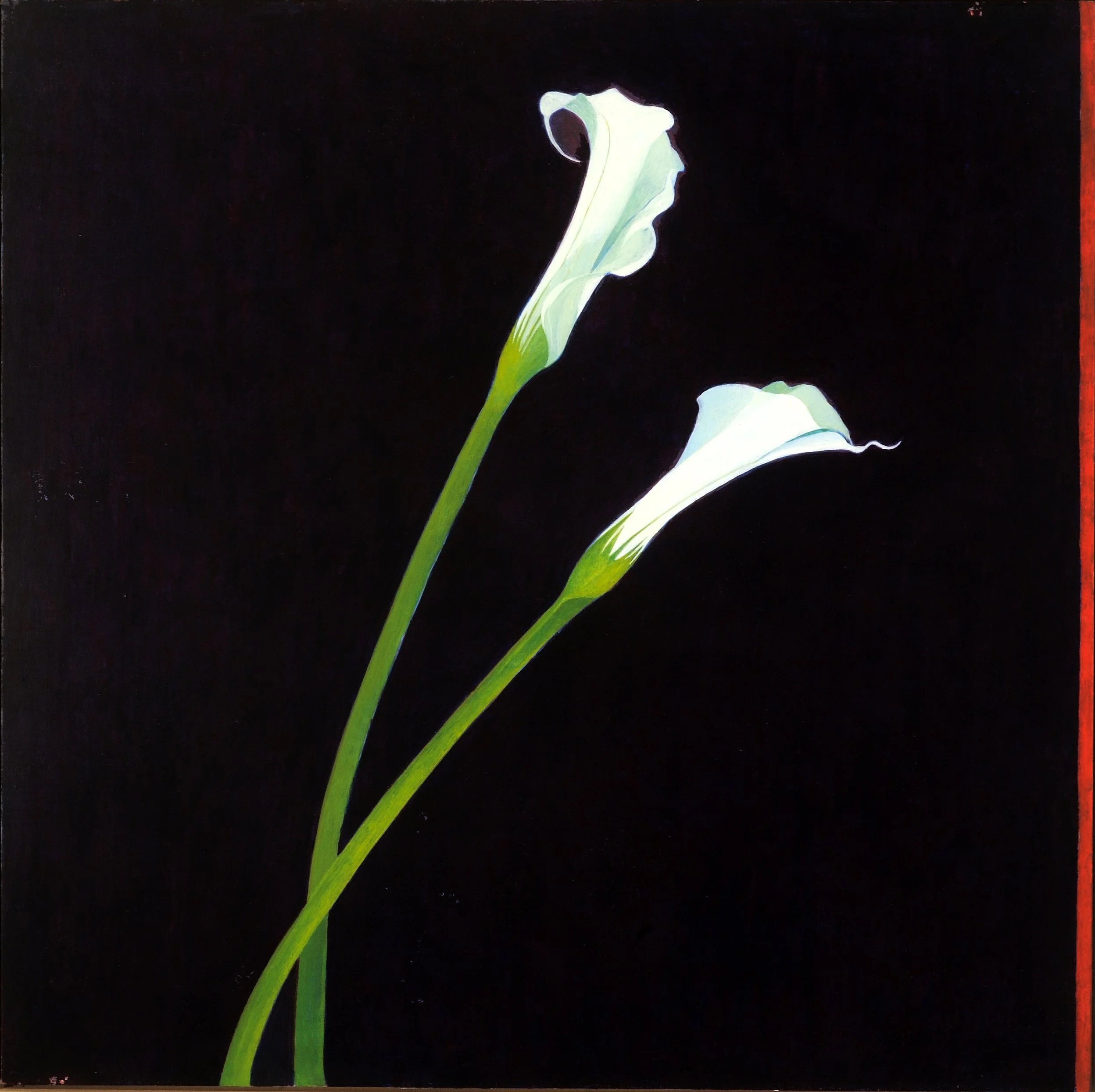 Leaning Toward Red (2004)