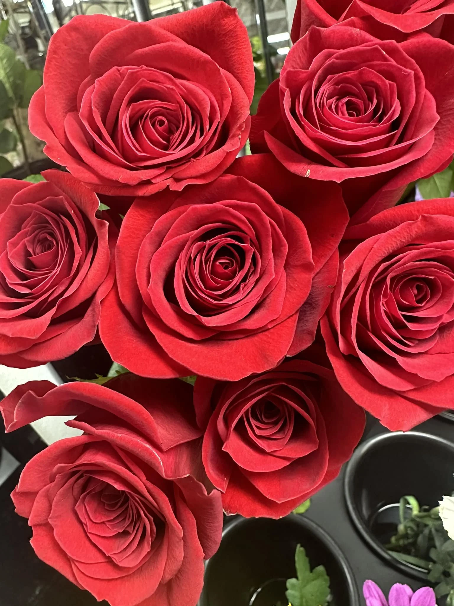 Rose Bouquet - 12 Assorted