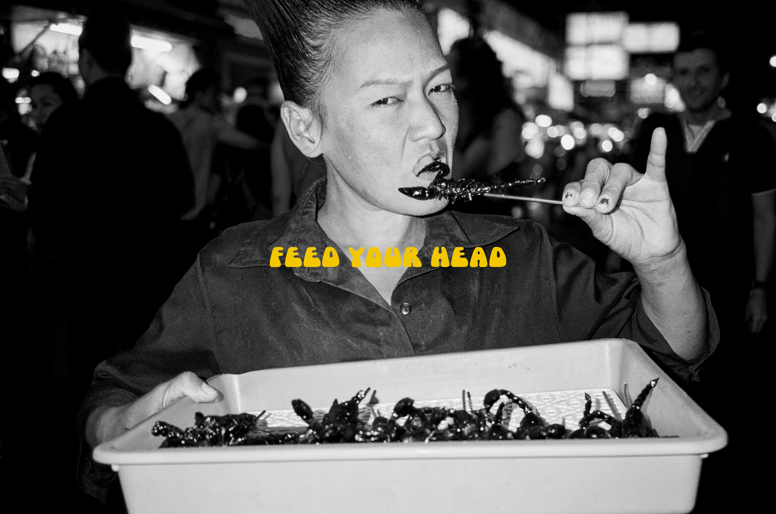 feed.jpg