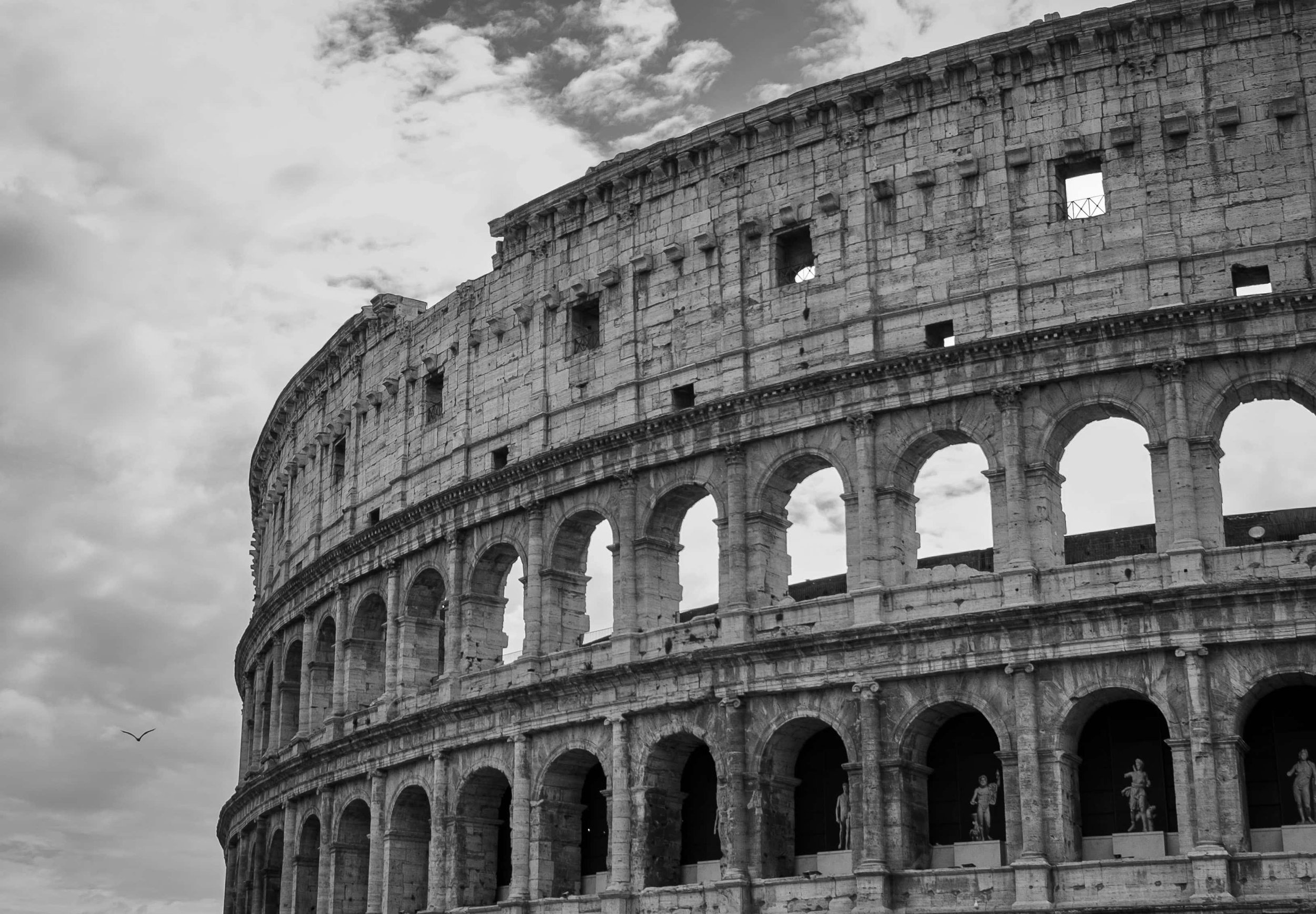 The-Colosseum-and-the-Bird.jpg