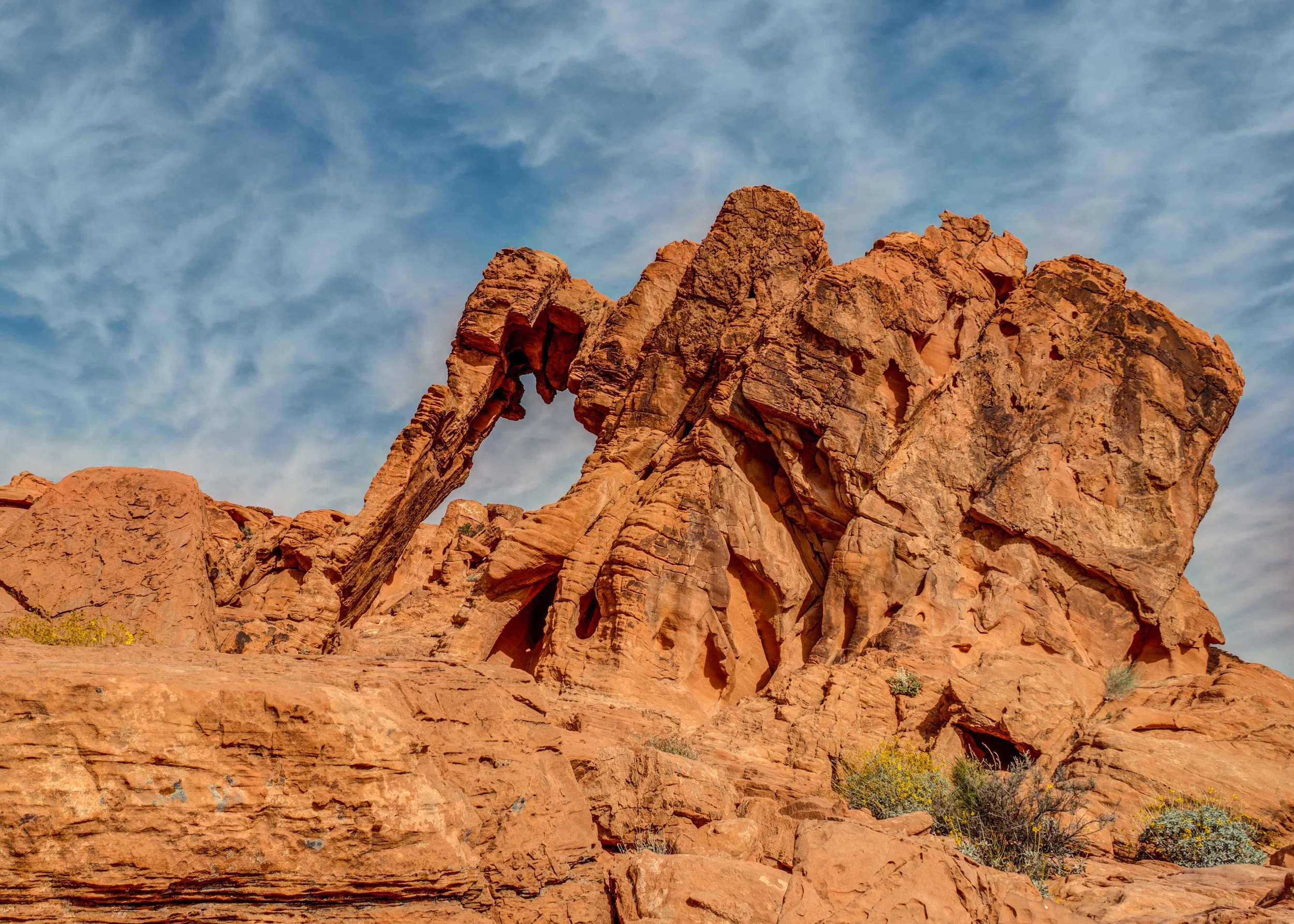 Elephant Rock sandstone formation in Utah shaped like an elephant against red rock desert landscape.