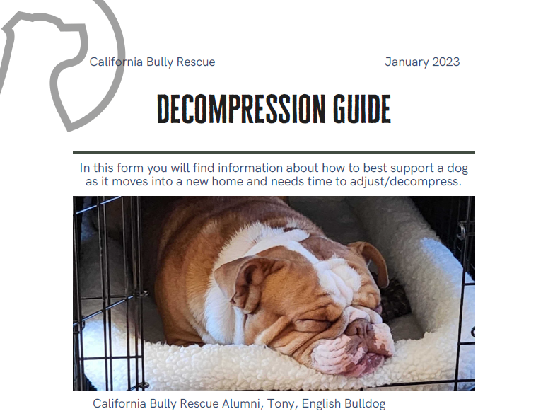 Decompression Guide — California Bully Rescue