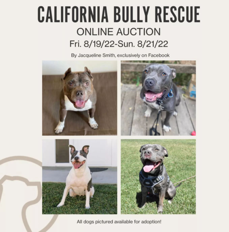 Online Auction August 2022