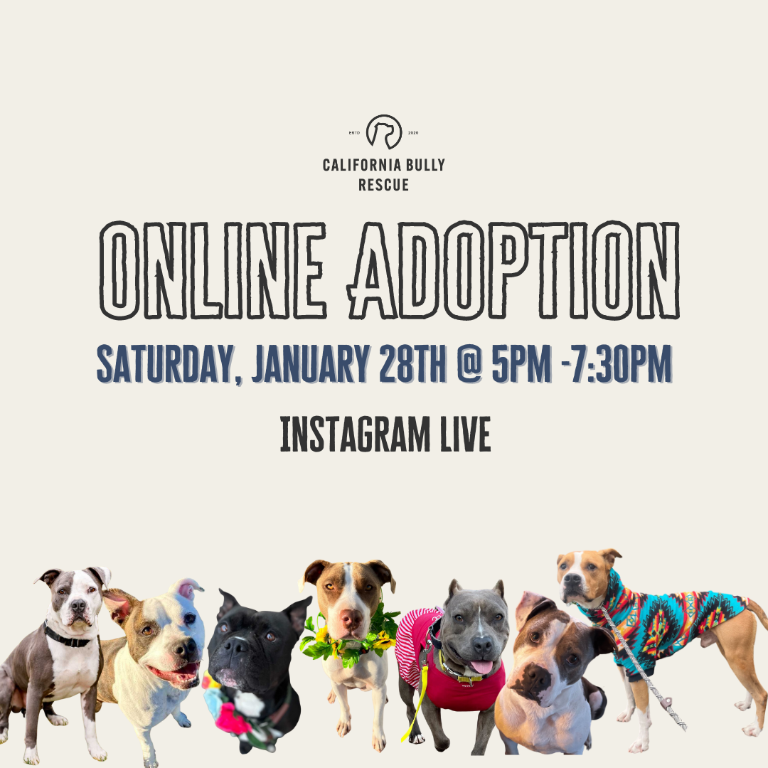 Online Adoption Event.png