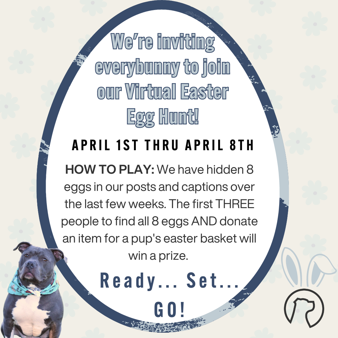 We're inviting everybunny to join our Easter Egg Hunt! (1).png