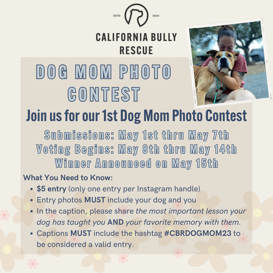 Dog Mom Photo Contest (1).png