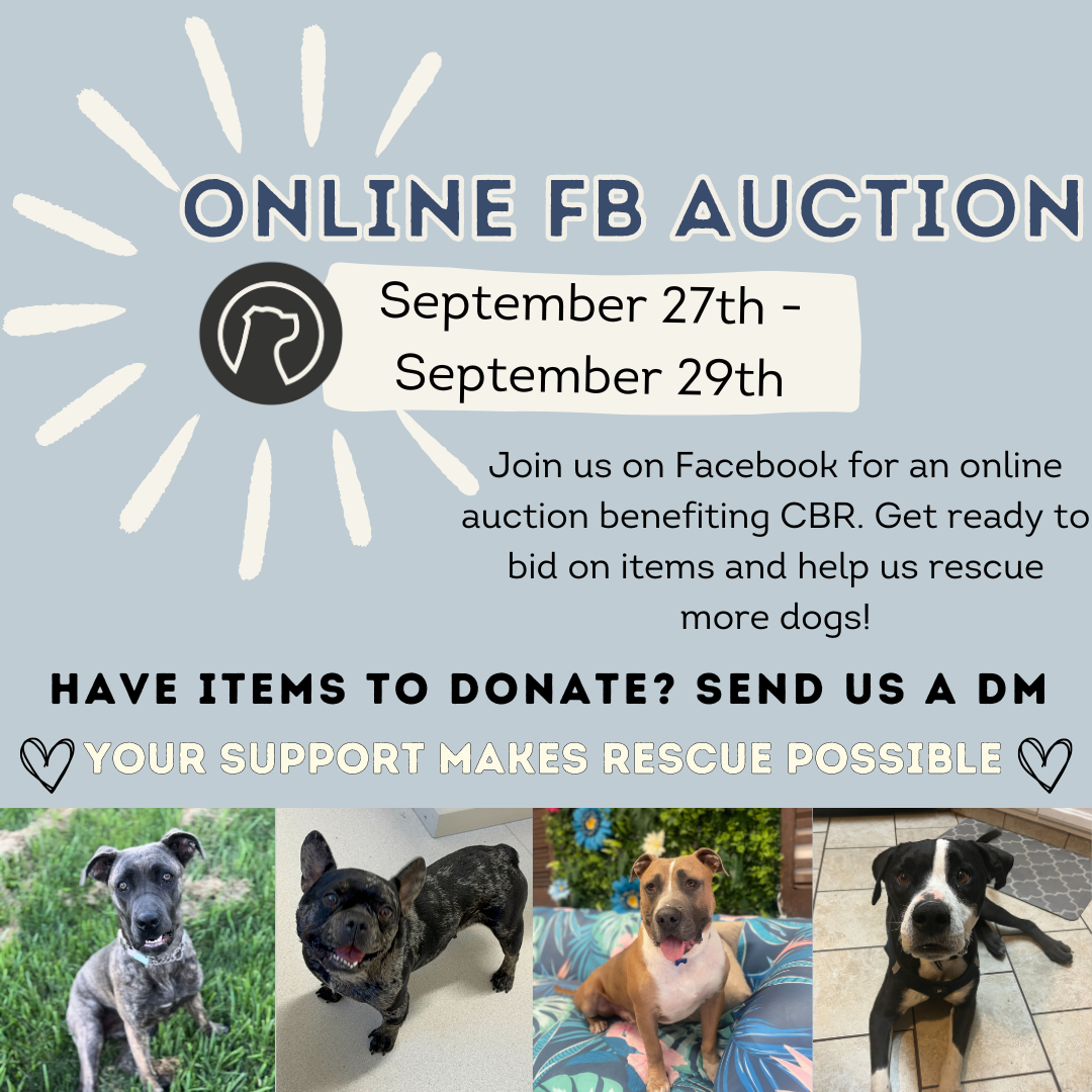 Virtual Auction — California Bully Rescue