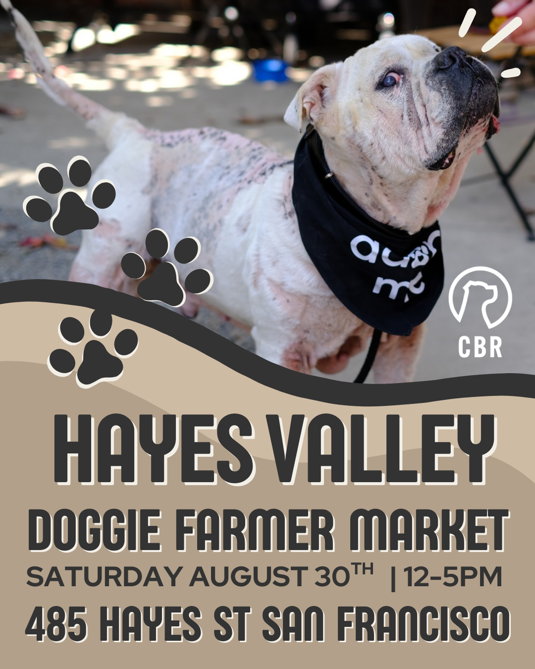 Doggie Farmers Market