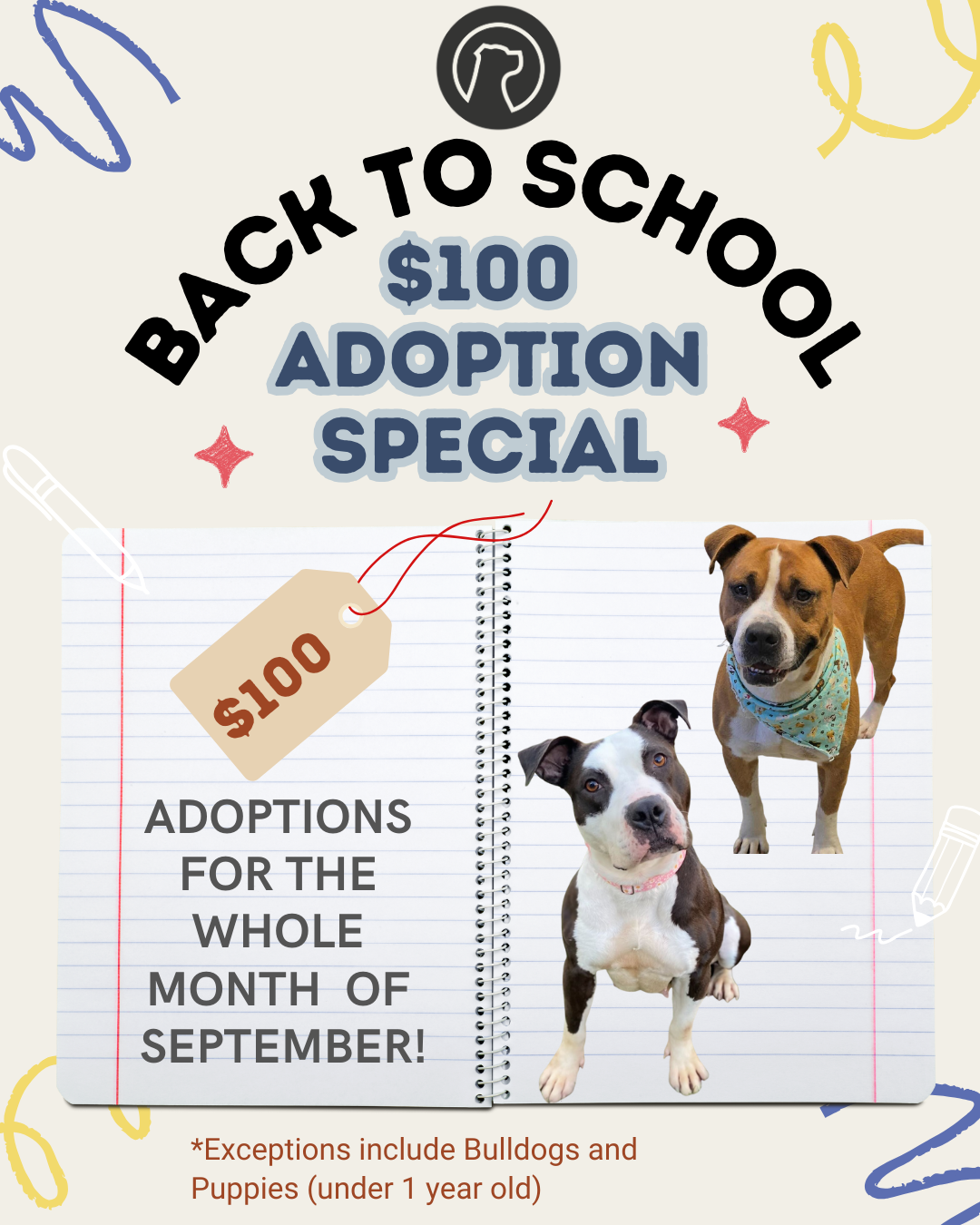 Back to School Adoption Special