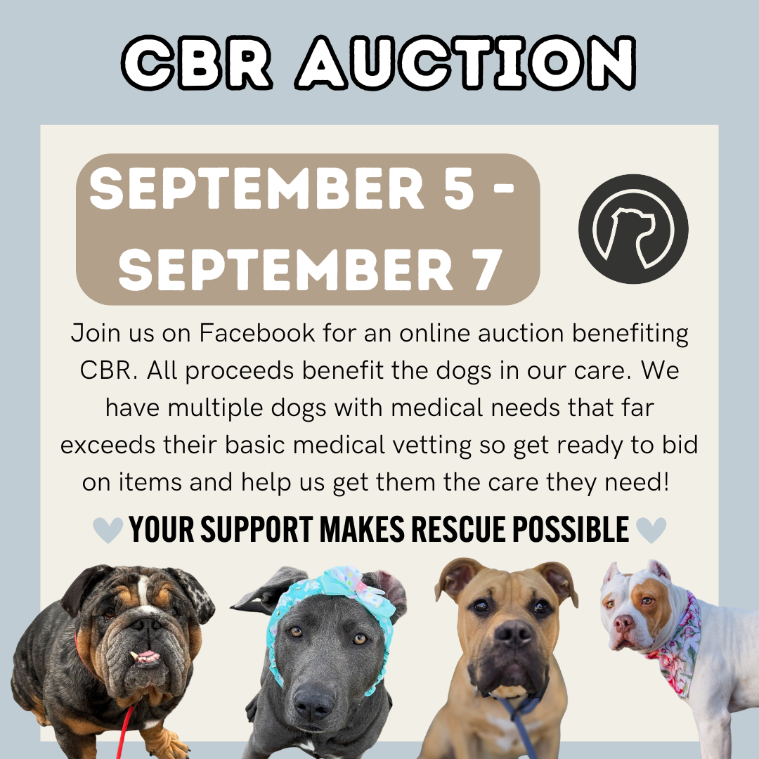 CBR Auction Event