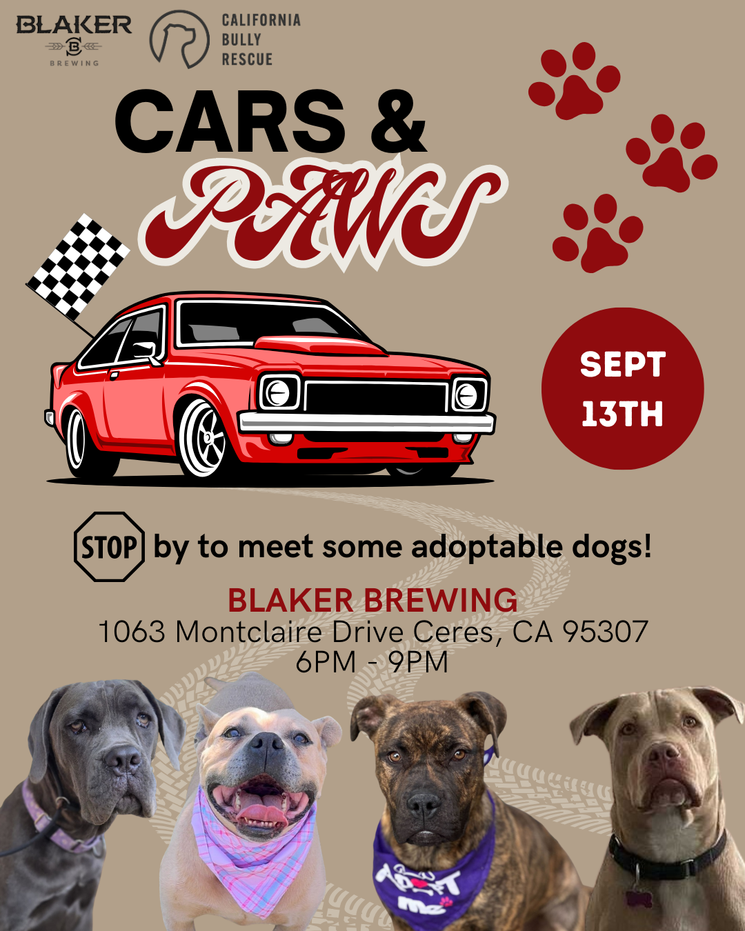 Cars & Paws