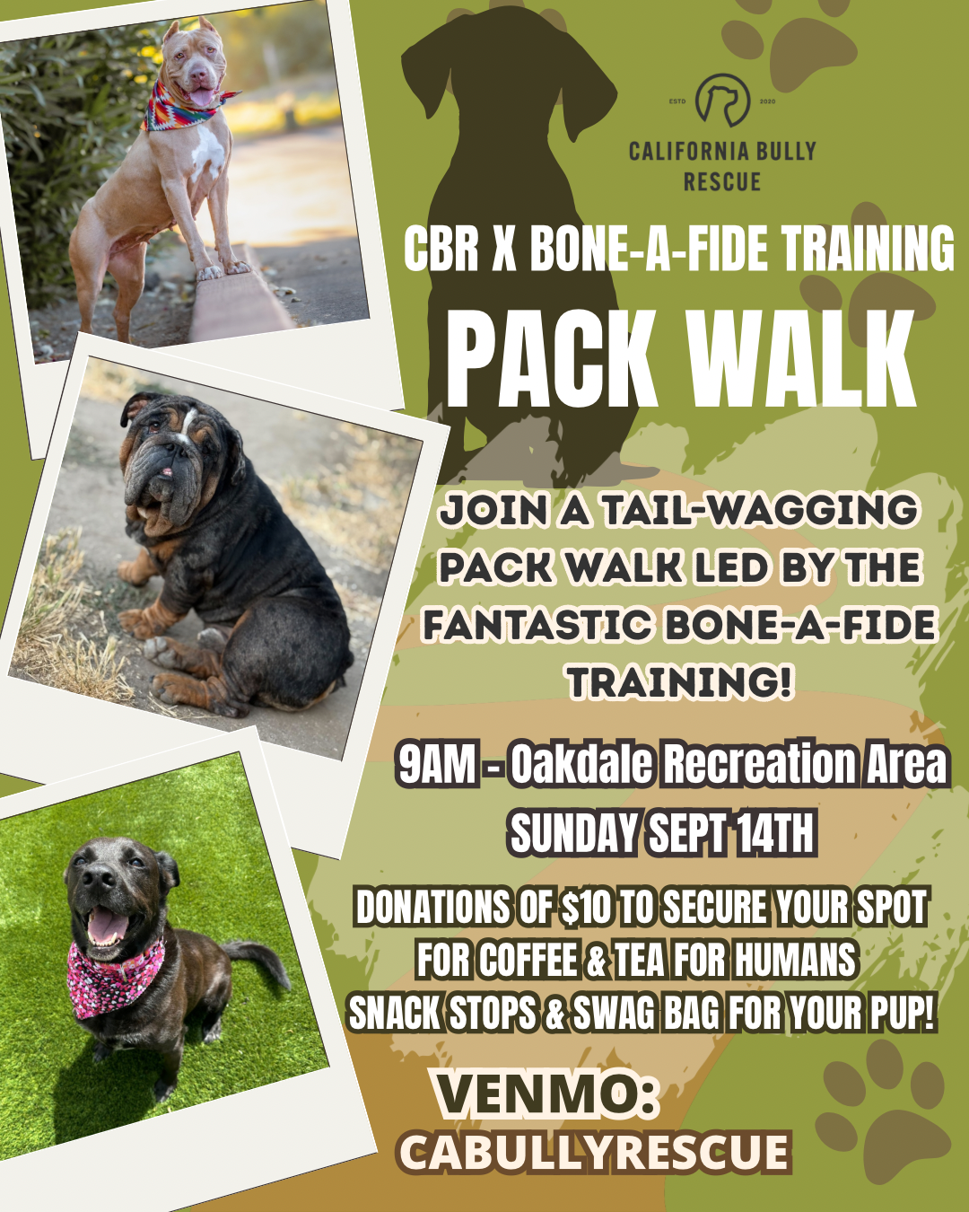 CBR Pack Walk