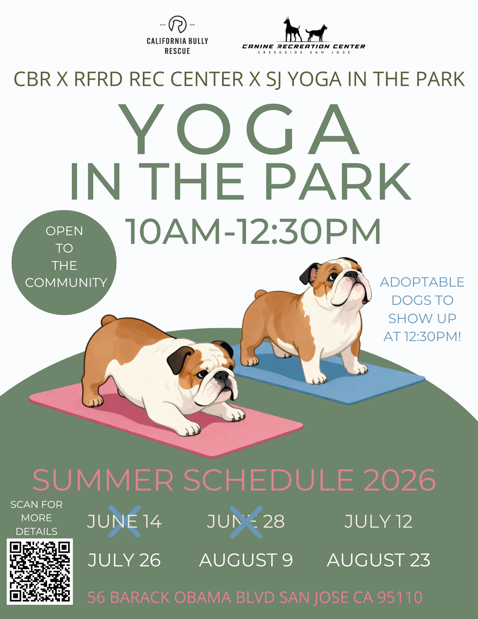 Yoga In The Park