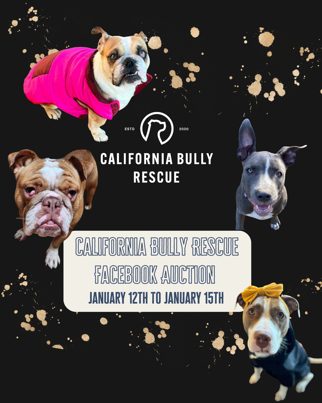 January 2022 Online Auction — California Bully Rescue