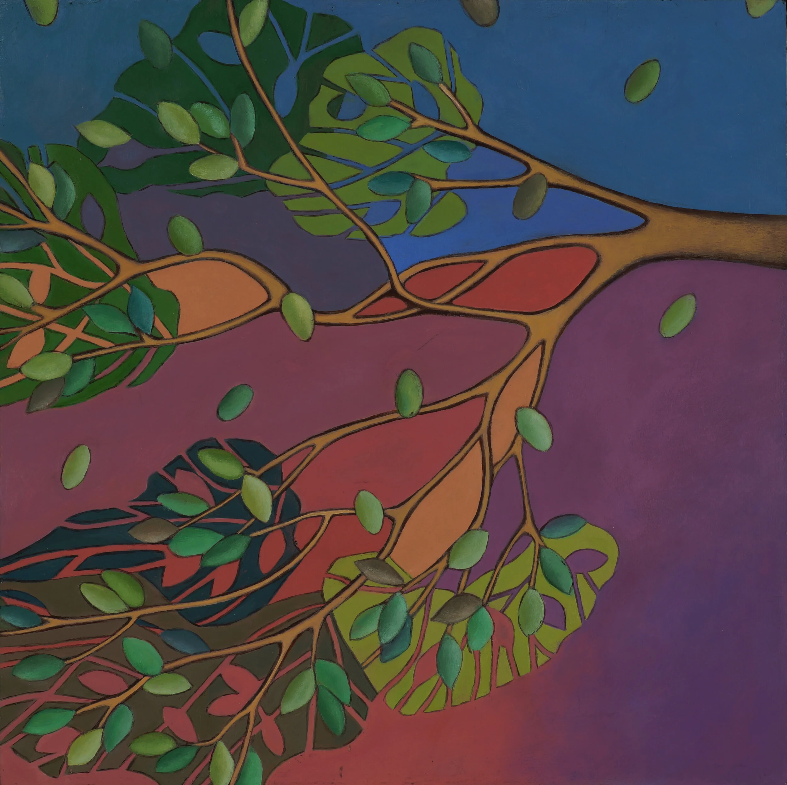 Visions — Anne Landreman