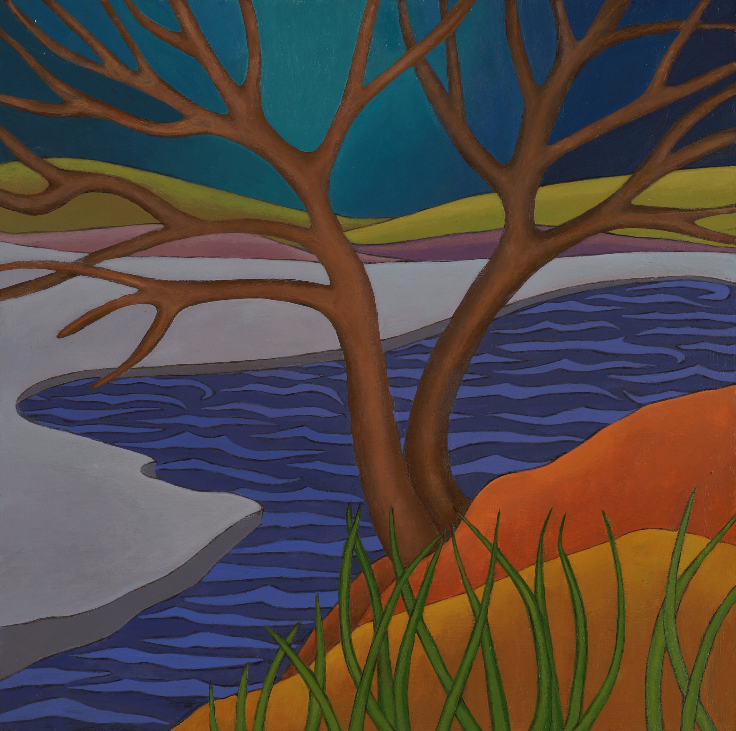 Visions — Anne Landreman