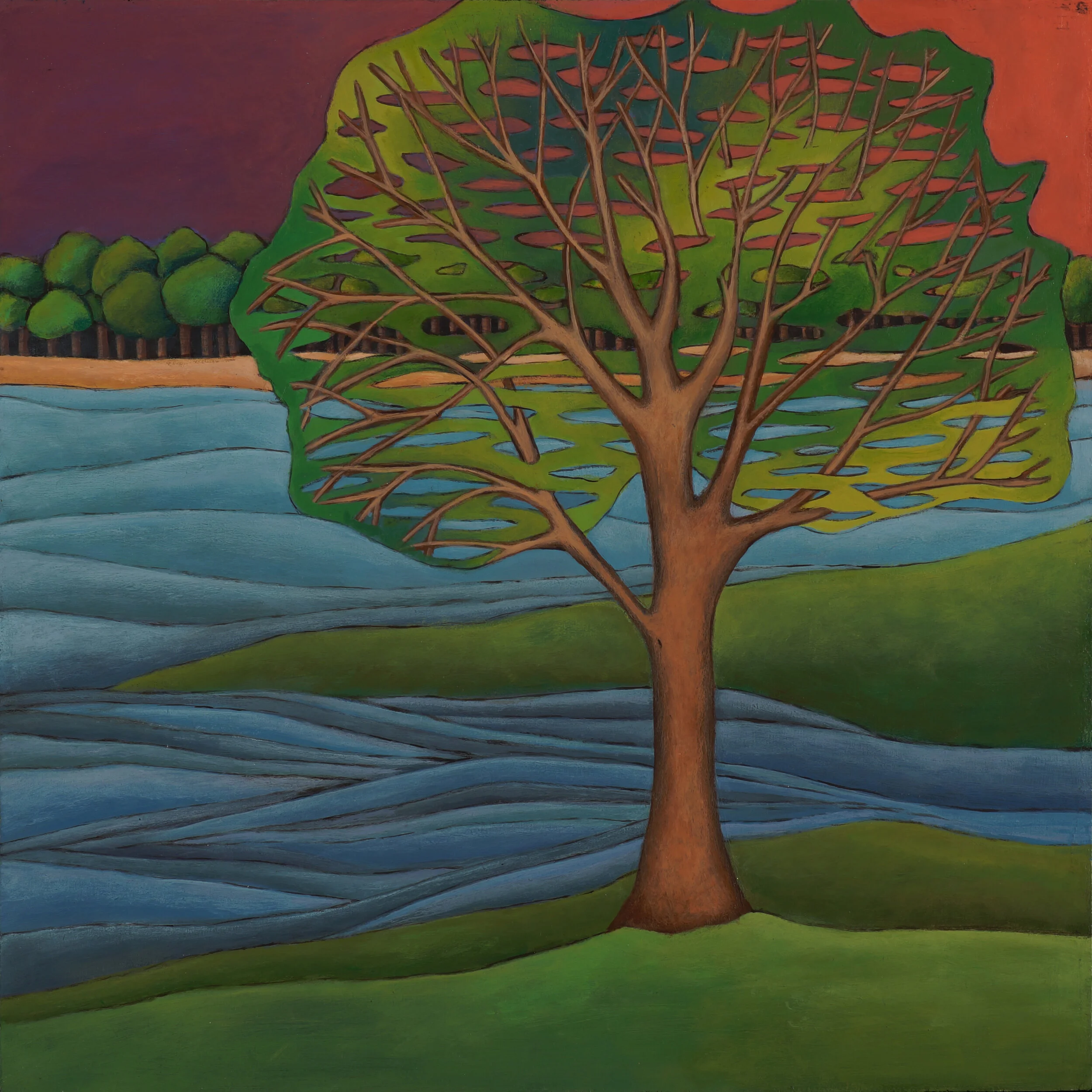 Visions — Anne Landreman