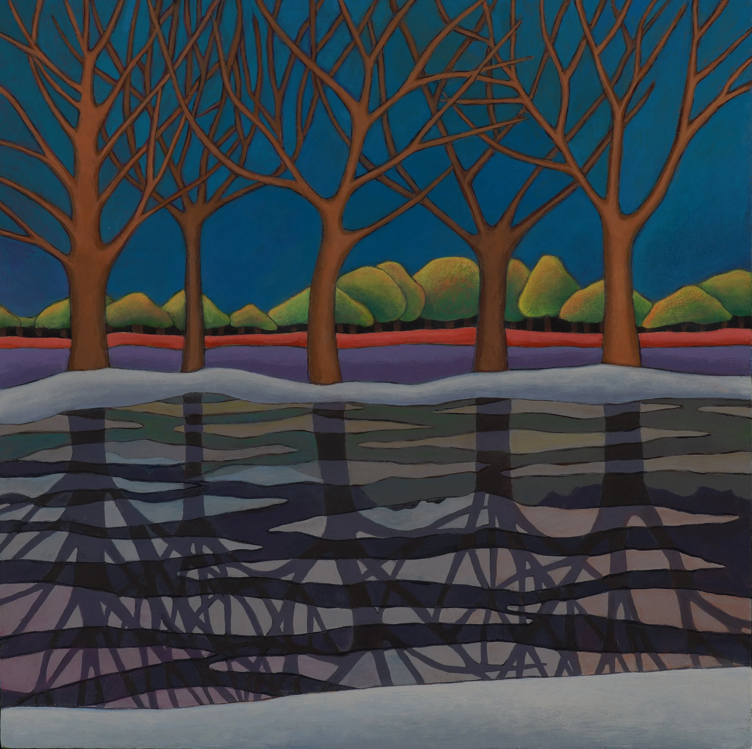 Visions — Anne Landreman