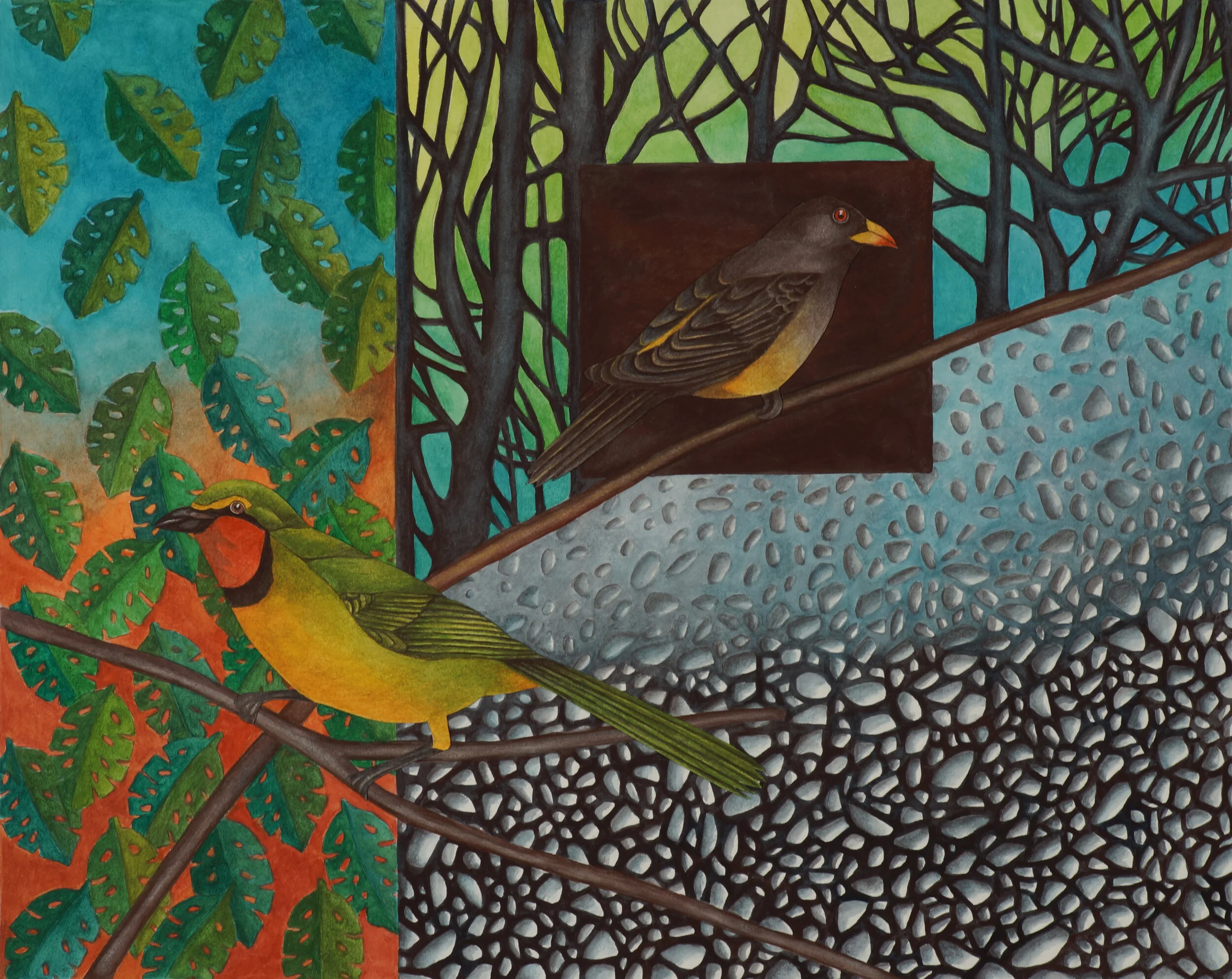 Perch — Anne Landreman