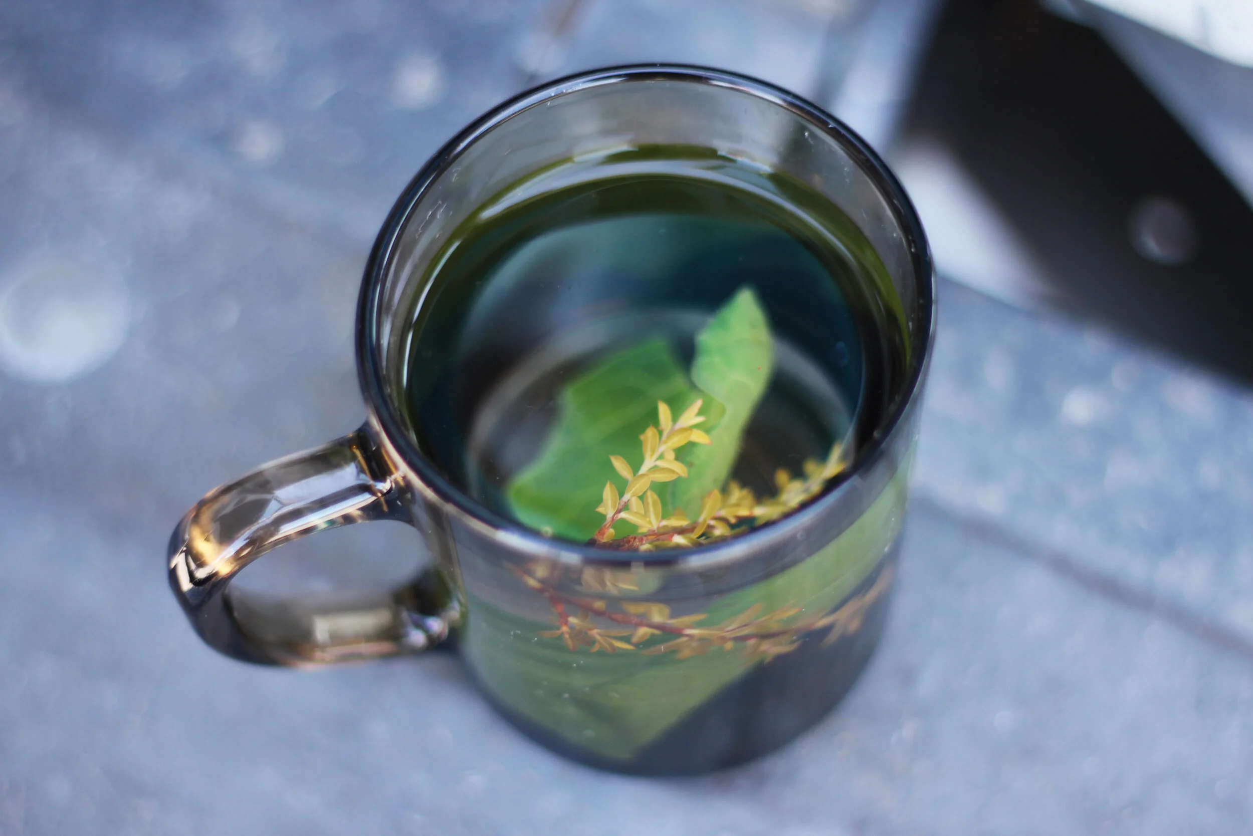 Kawakawa and Manuka Tea.jpg