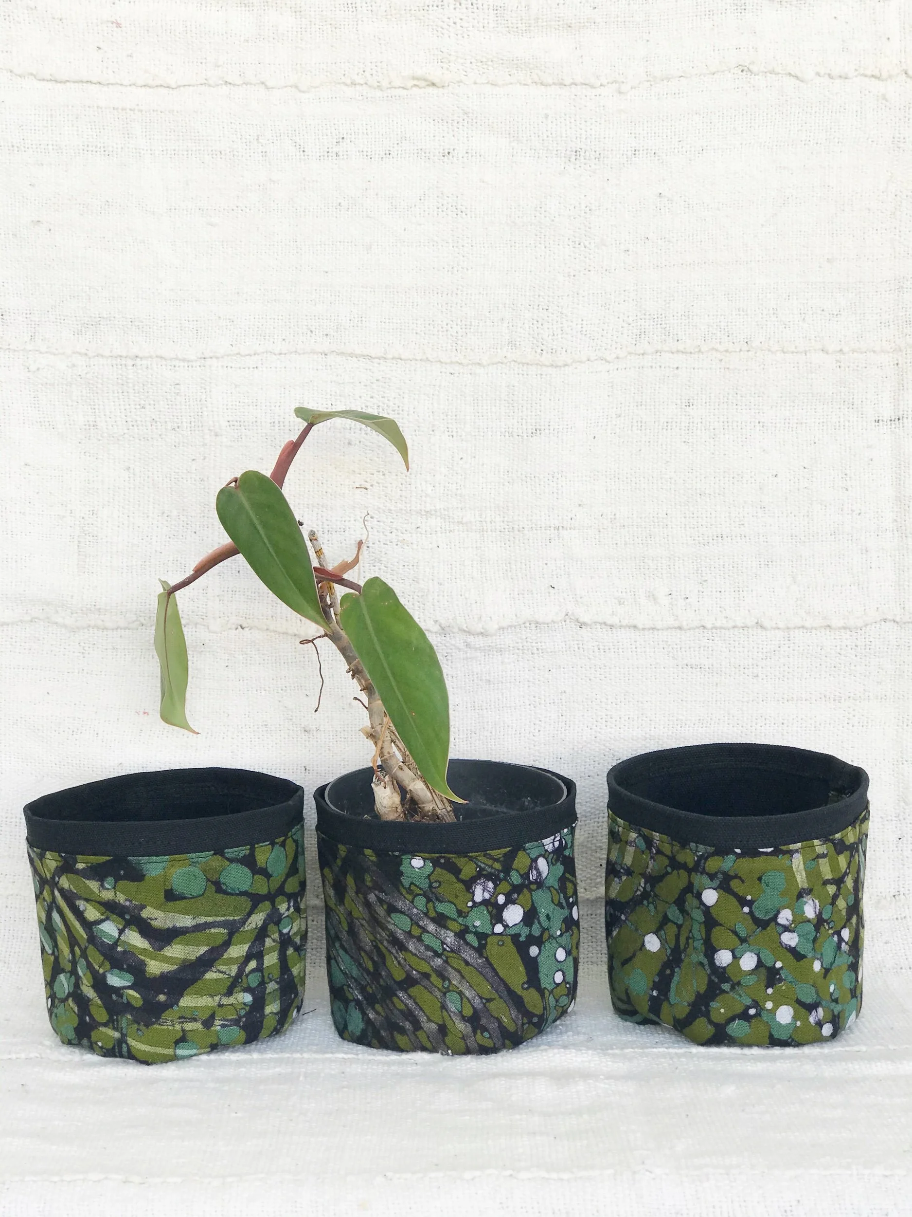 DB2E60C9-8C9F-4554-8CE4-32EA7AECEC3B